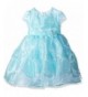 Nannette Toddler Sleeved Organza Tucked