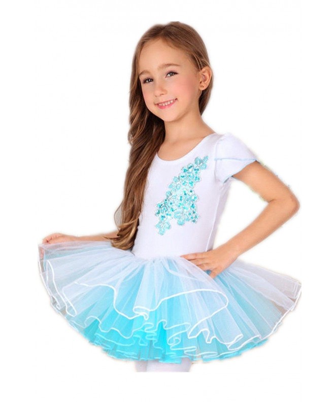 Abroda embroidery Sequins Princess Dancewear