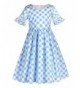 Sharequeen Vintage Pattern Flared Dresses