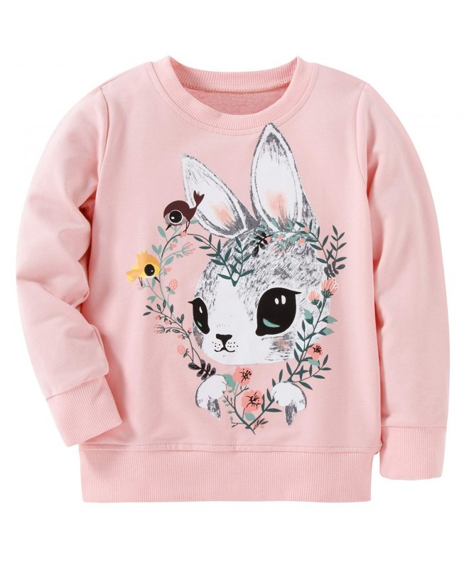 AuroraBaby Toddler Sweatshirts Pullover Adorable