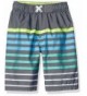 iXtreme Little Boys Printed Trunks