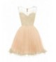 WDING Short Homecoming Dresses Appliques
