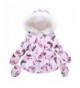 Little Printed Butterfly Padding Jacket