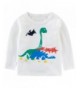 Niyage Boys Dinosaur T Shirts Graphic