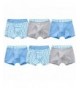 Orinery Briefs Cotton Teenager Underwear