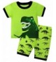 BABES HOME Dinosaur Pajamas Sleepwear